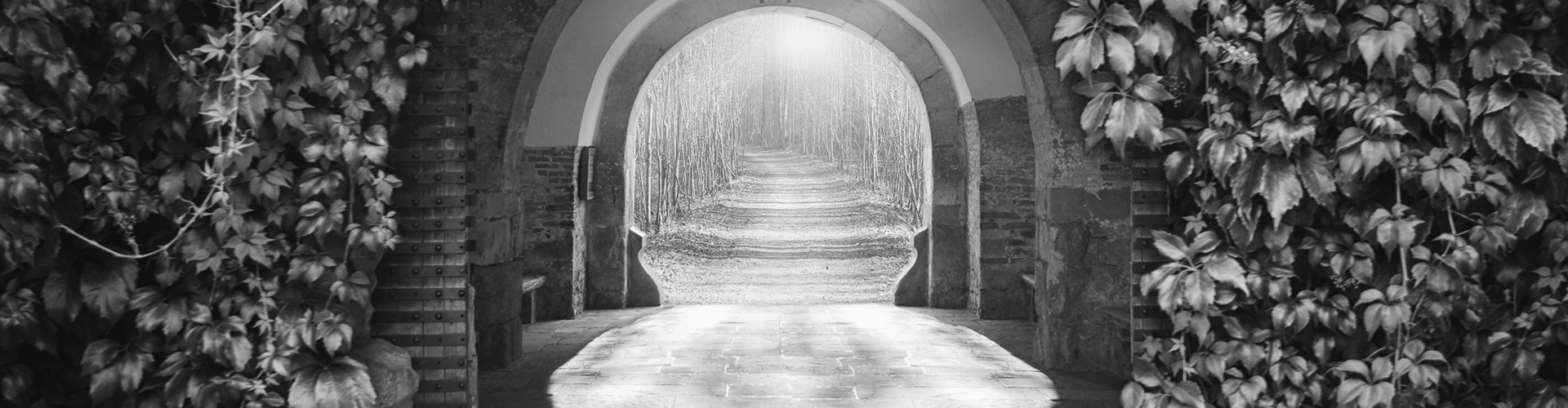 mysterious entrance black and white