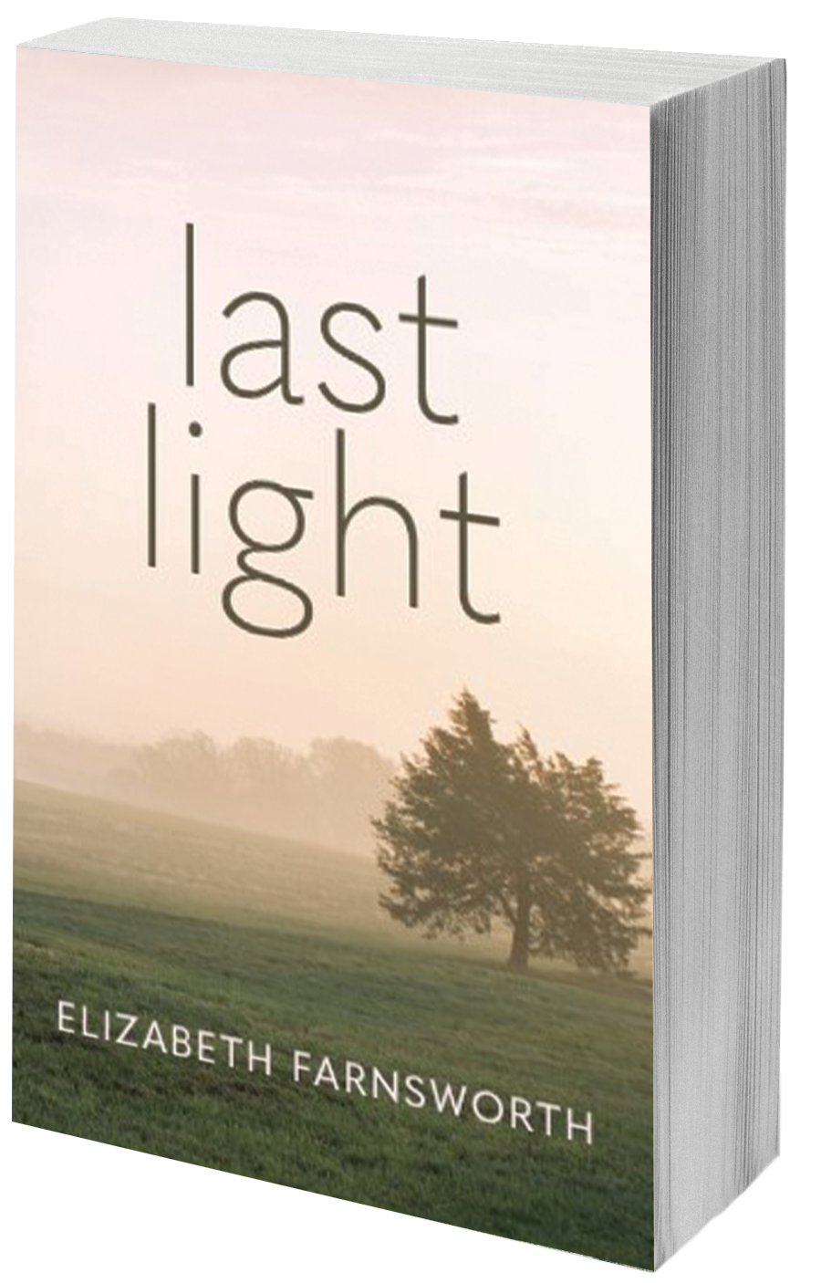 Last Light book cover