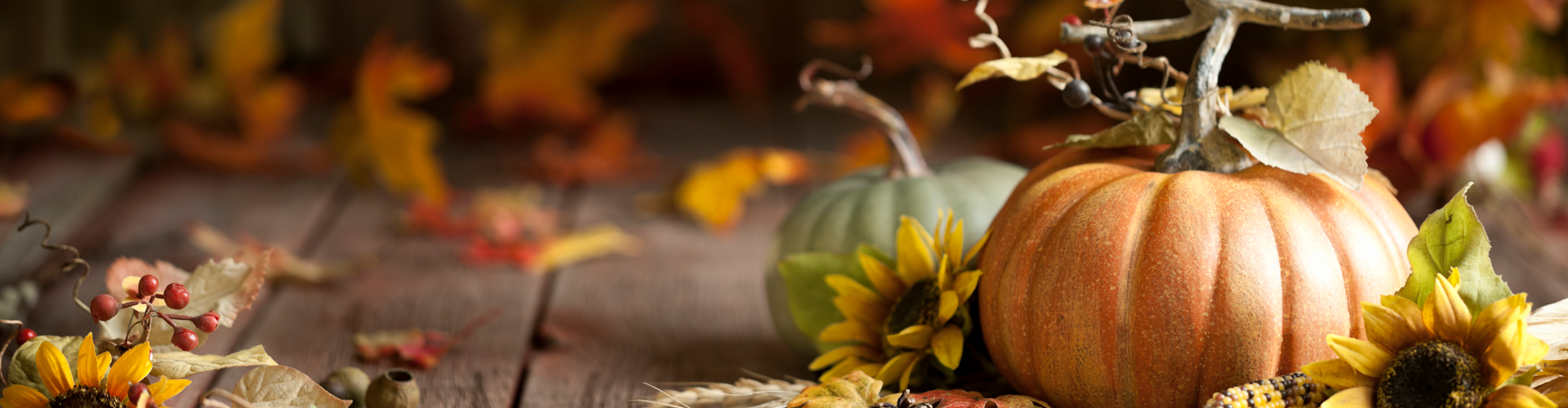 fall search